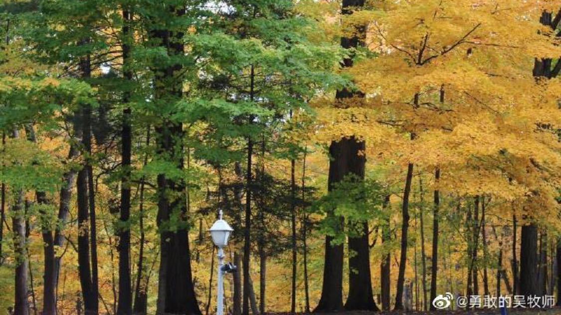 免费抖音双击网站软件：抖音热推新潮流轻松引爆互动流量