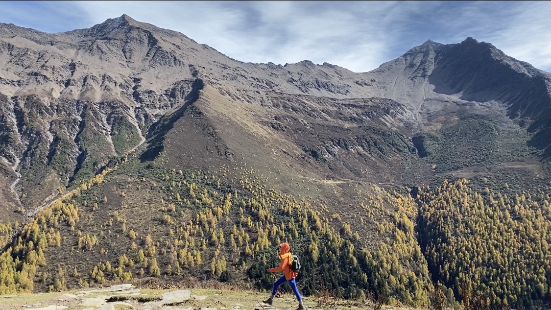 抖音100个赞自助下单：优质自媒体内容快速涨粉秘籍